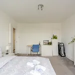 Bright & Spacious 2Br Flat By Hyde Park
